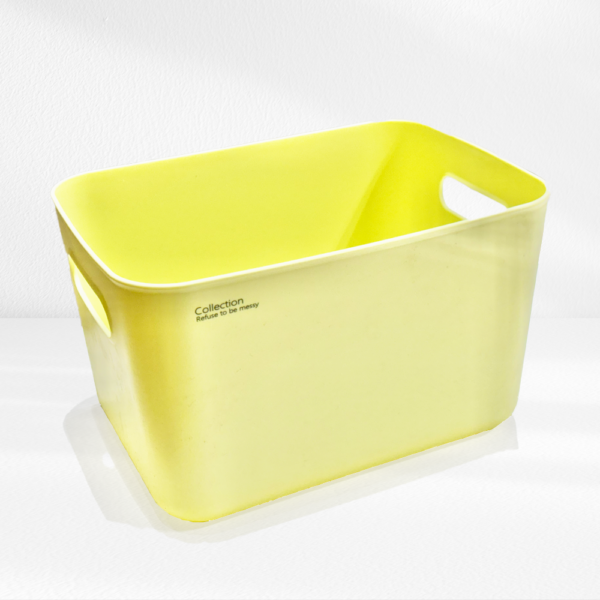 organizer1 Plastic Storage Box